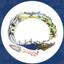 Tanana Chiefs Conference