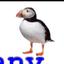 Bold Coast Charter Company