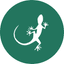 Mongabay India