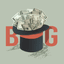 BIG by Matt Stoller