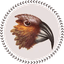 The Kākā by Bernard Hickey