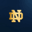 The Fighting Irish