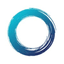 Circle of Blue
