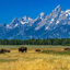 National Parks Traveler