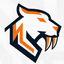 Tiger Capital Research