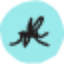 Debug Project