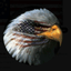 Freedom in America