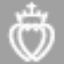 FSSPX News