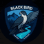 Black Bird