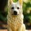 Butterdog
