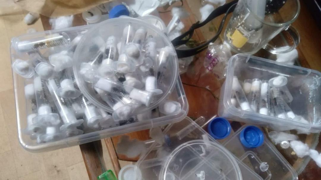 Kenya: Ant Smugglers Caught With 5K Live Prized Insects