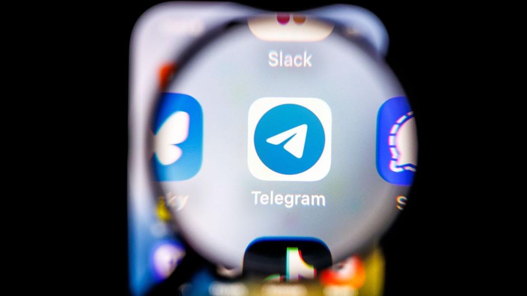 55 Arrested Over Suspected Pedophile Ring on Telegram