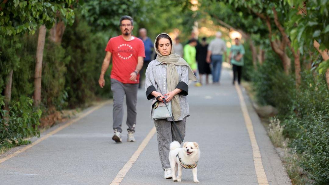Iran Expands Dog-Walking Ban to Over 20 Cities Nationwide