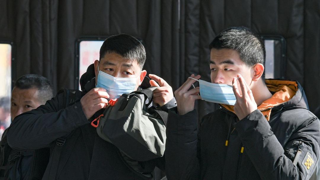 China: Scientists Discover 20 New Viruses in Bats