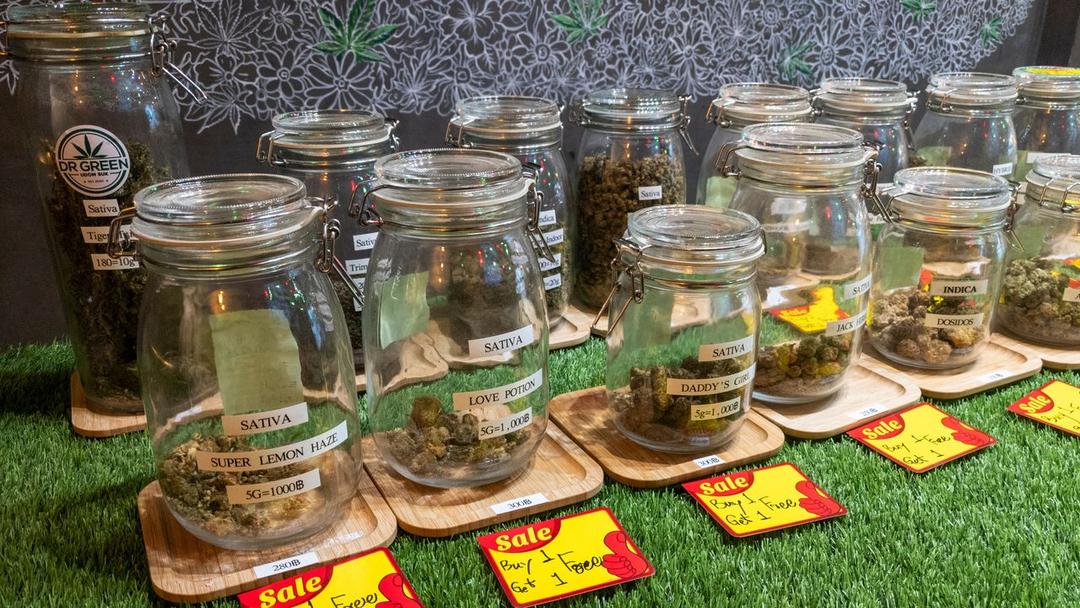 Thailand Moves to Recriminalize Cannabis