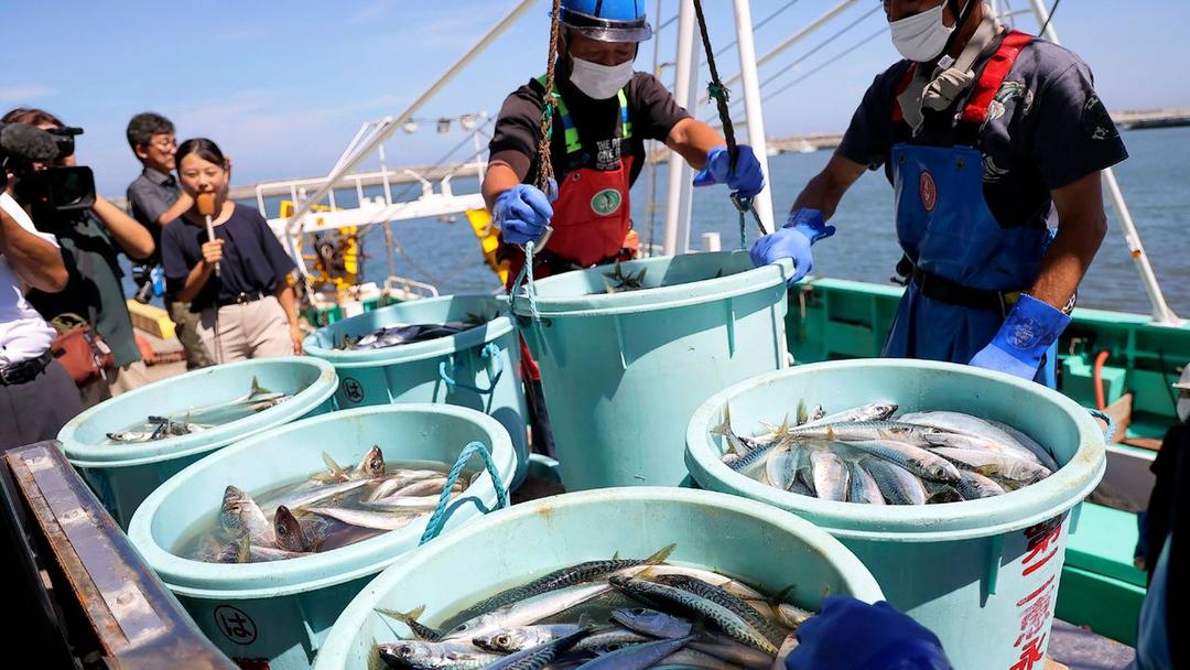China Partially Lifts Japan Seafood Ban