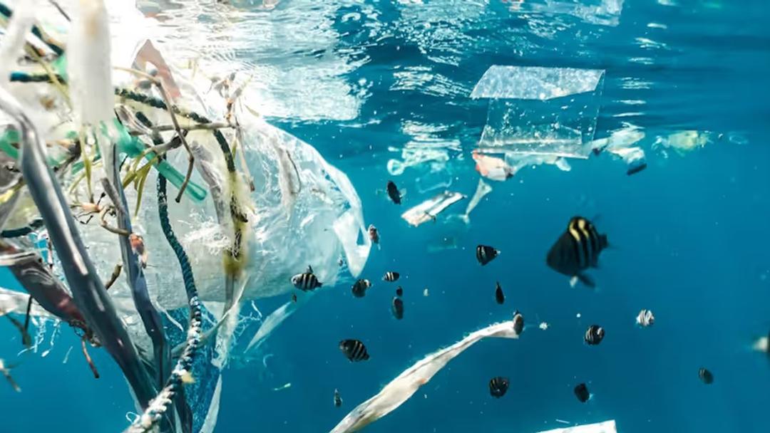 Study: Plastic Pollution Costs $1.5T in Global Health Damage