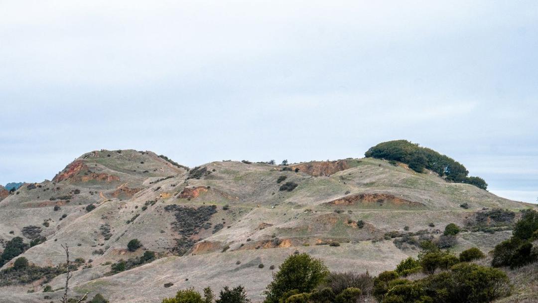 Boy Kidnapped Aged 6 Found Living in California 73 Years Later