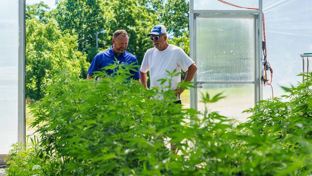 Congress Funding Bill Includes Hemp Ban