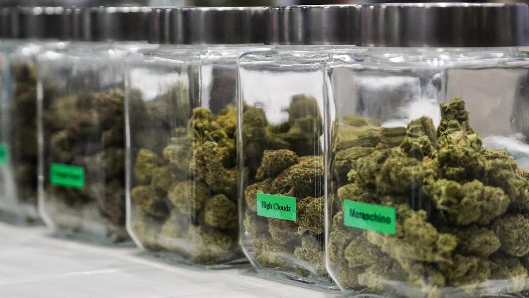 Trump Orders Marijuana be Reclassified to Schedule III