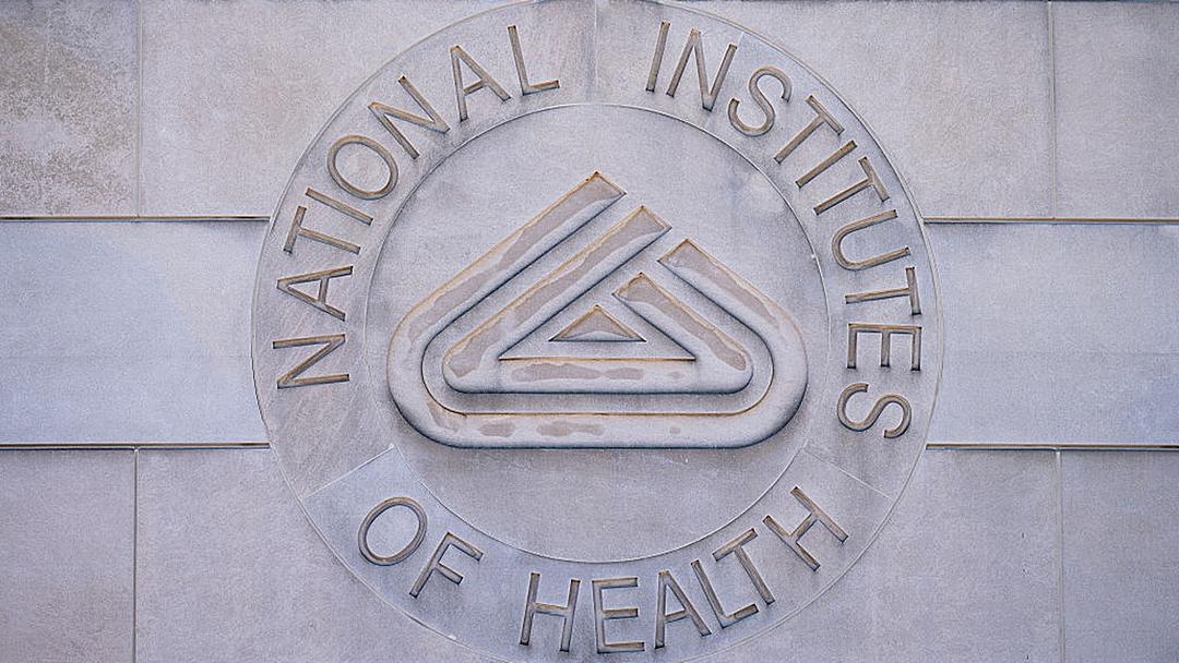 NIH Ends Fetal Tissue Research From Elective Abortions