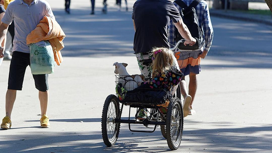 São Paulo Allows Pets to Be Buried With Owners