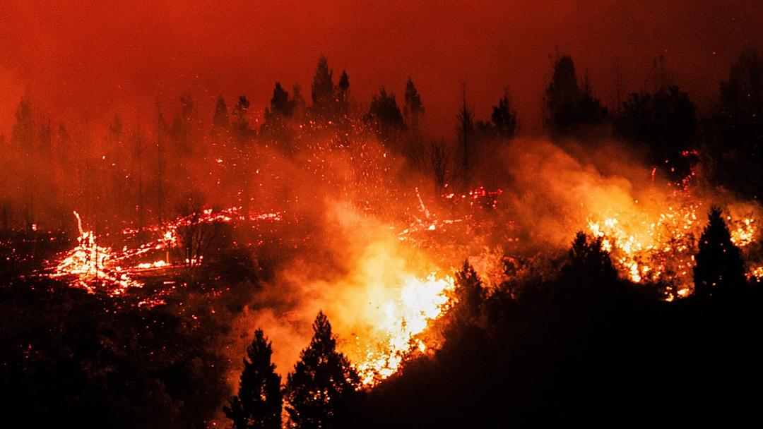 Study: Extreme Fire Weather Days Doubled Globally Since 1979