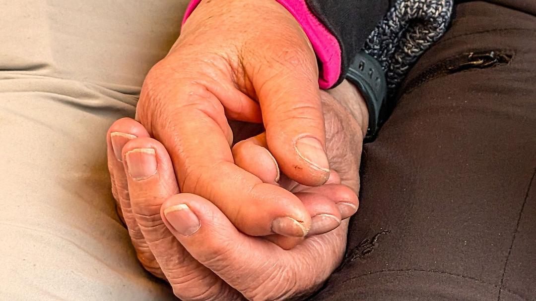 Harvard Scientist: Aging Reversal Trials Set to Begin