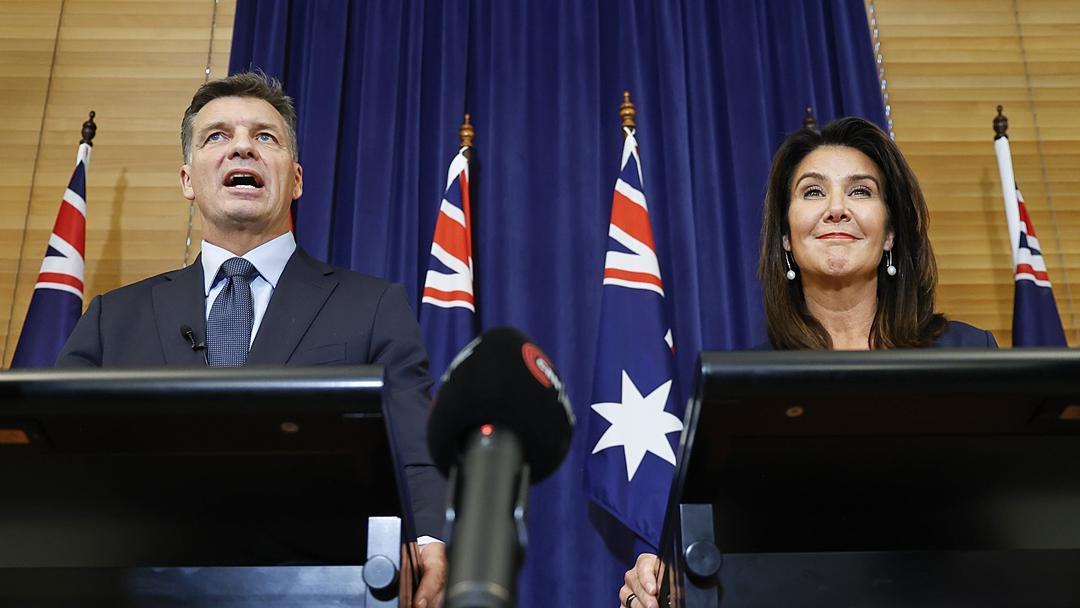 Angus Taylor Beats Sussan Ley for Liberal Leadership