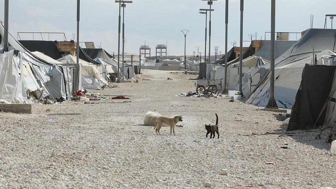Mass Escape From Syria's Al-Hol Camp Raises Security Fears
