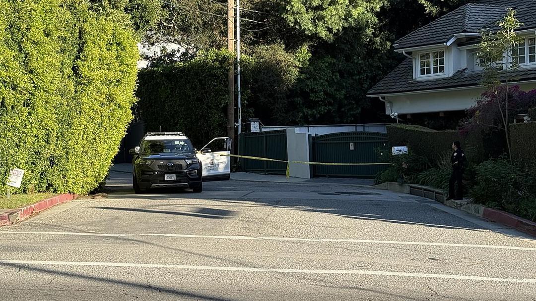 Woman Arrested After Shooting at Rihanna's Beverly Hills Home