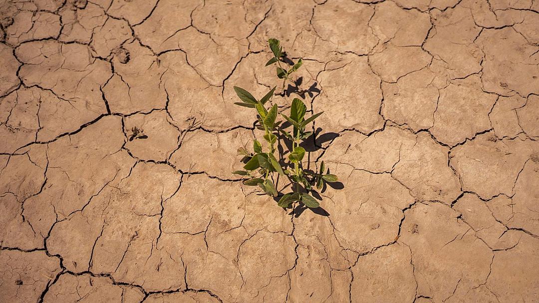 WMO: 11 Hottest Years All Fell Between 2015-2025