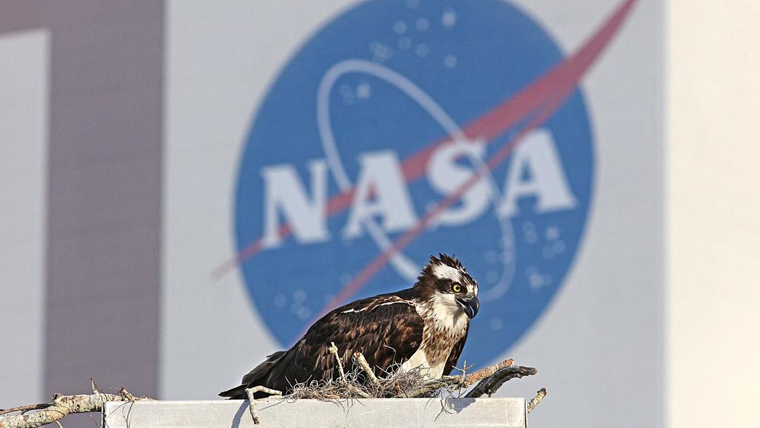 NASA Climate Physicist Quits, Citing Attacks on Science