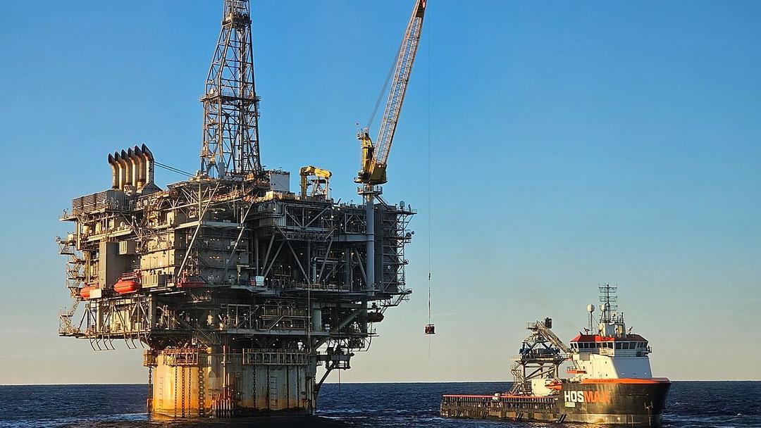 Trump Committee Exempts Gulf Drilling from Species Act
