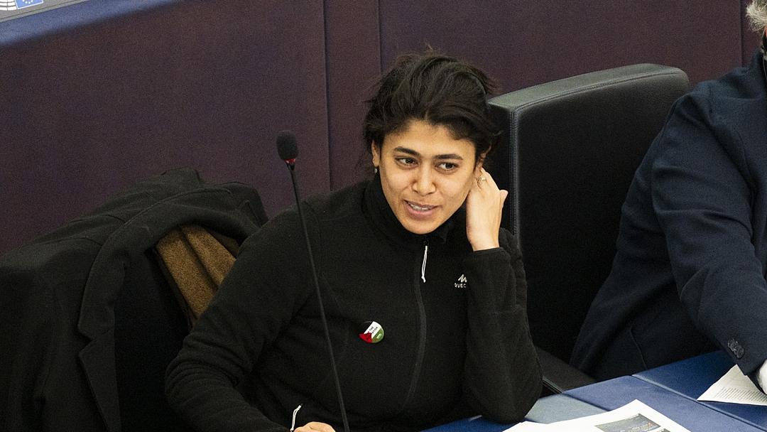 French Member of European Parliament Held Over Terror Advocacy Post