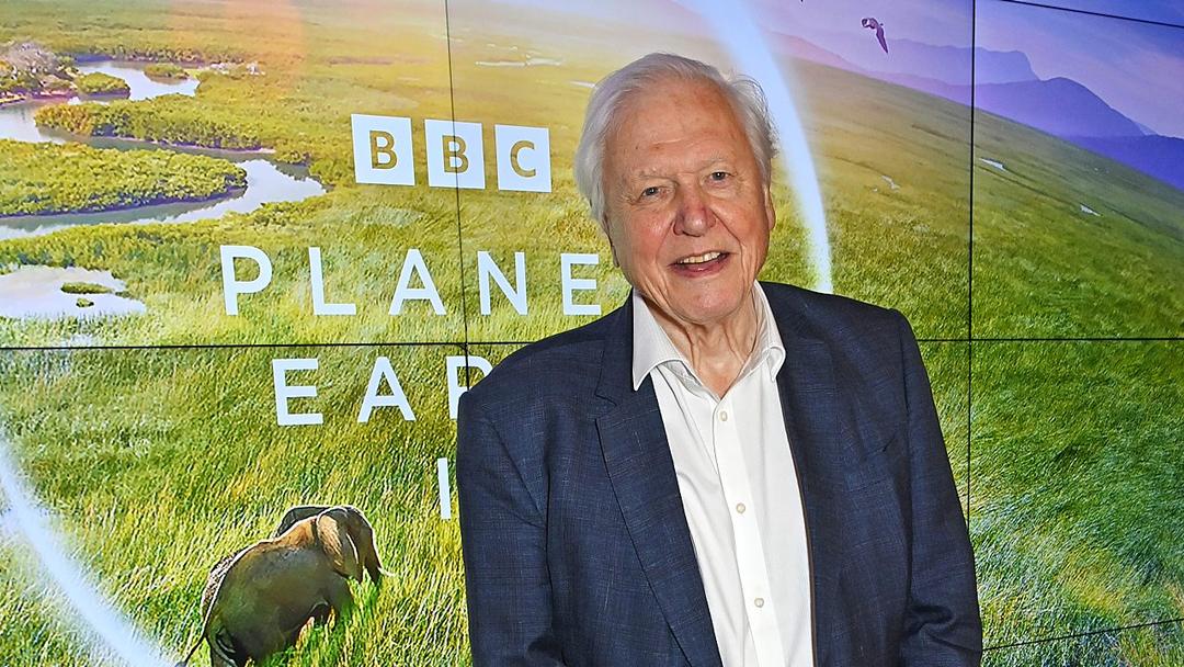 David Attenborough Turns 100