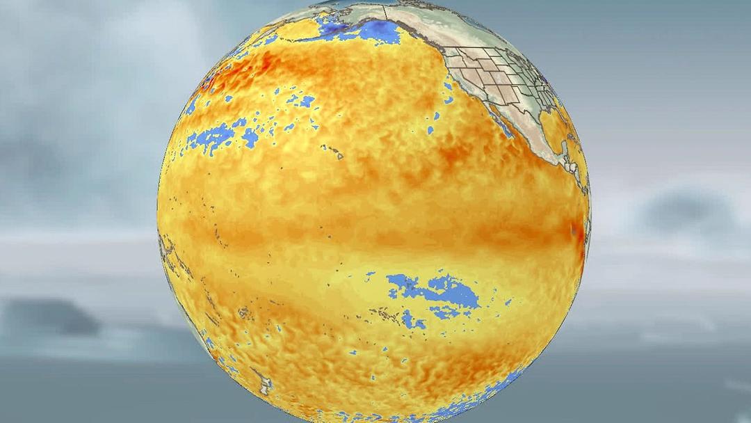 NOAA: El Niño Has 82% Chance of Emerging by Mid-2026