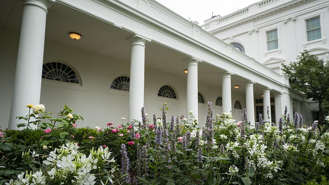 Senate Parliamentarian Blocks Trump's White House Ballroom Plan