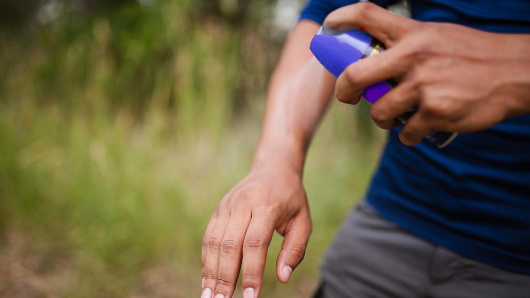Study: Mosquitoes Can Learn to Like DEET