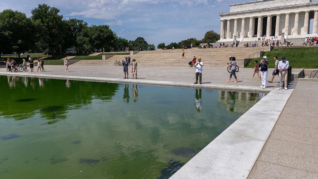 Algae Returns Days After Trump's $14M Reflecting Pool Revamp
