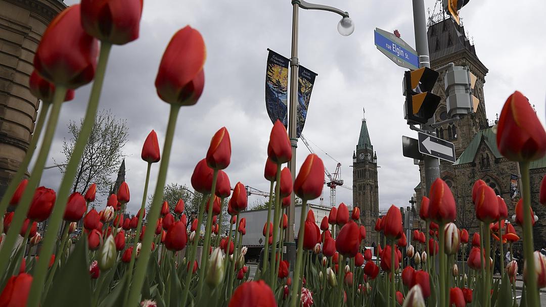 Canada: Panel Urges Permanent MAID Ban for Mental Illness