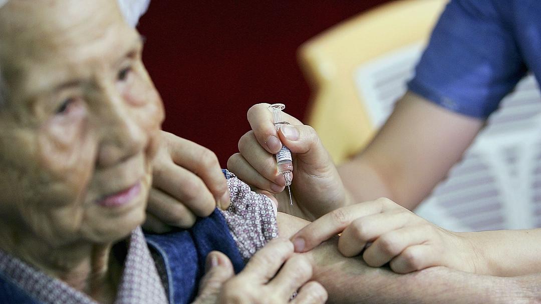 Immune Rejuvenation Jab Heads to Human Trials