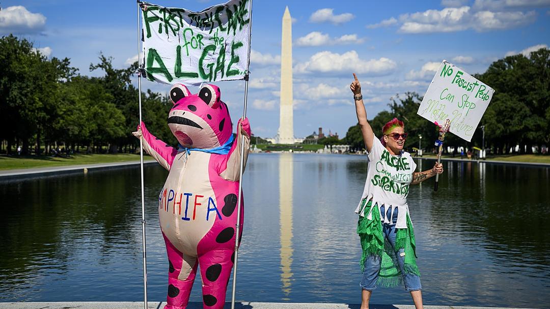 5 Arrested for Vandalism at Lincoln Memorial Pool