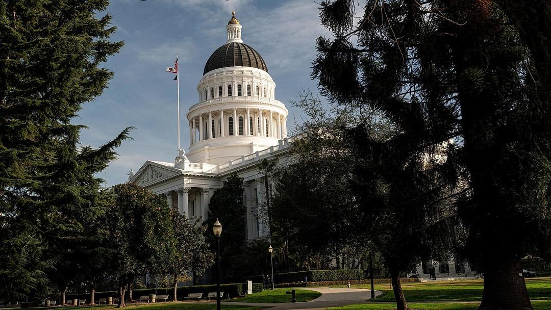 US Midterms: California Governor's Race