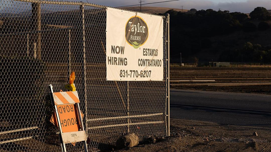 FDA Retracts Cyclospora Finding in Taylor Farms Lettuce