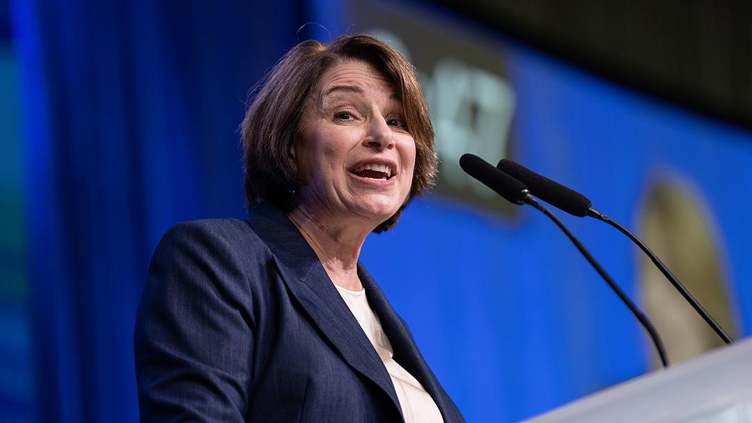 Minnesota Sets Fall Matchups in Senate, Governor Races
