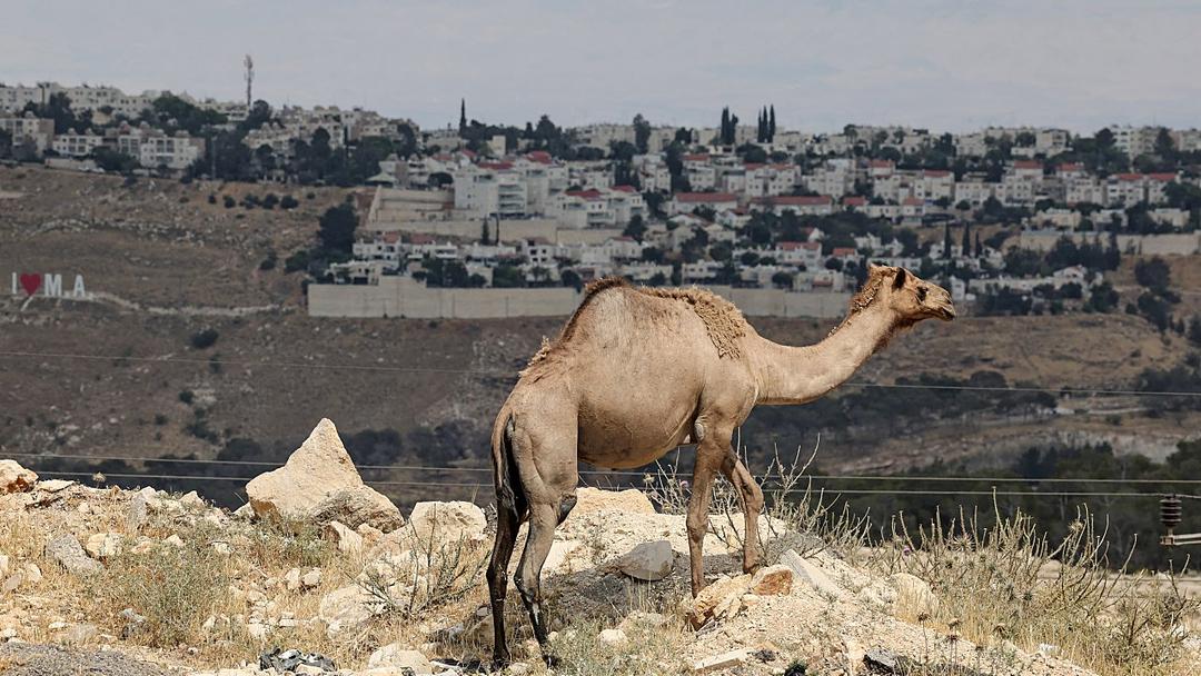Western Nations Threaten Sanctions On Israel's E1 Settlement Plan