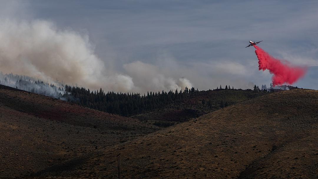 Hawk Fire Forces 42,000 to Flee Near Reno
