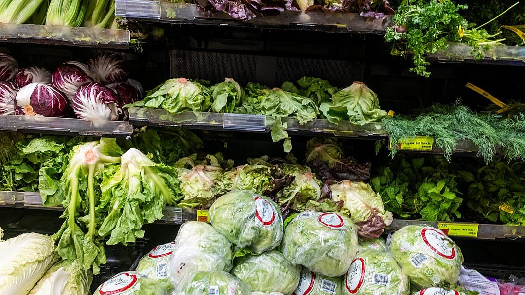 New York City-Owned Grocery Plan Faces Legal Battle