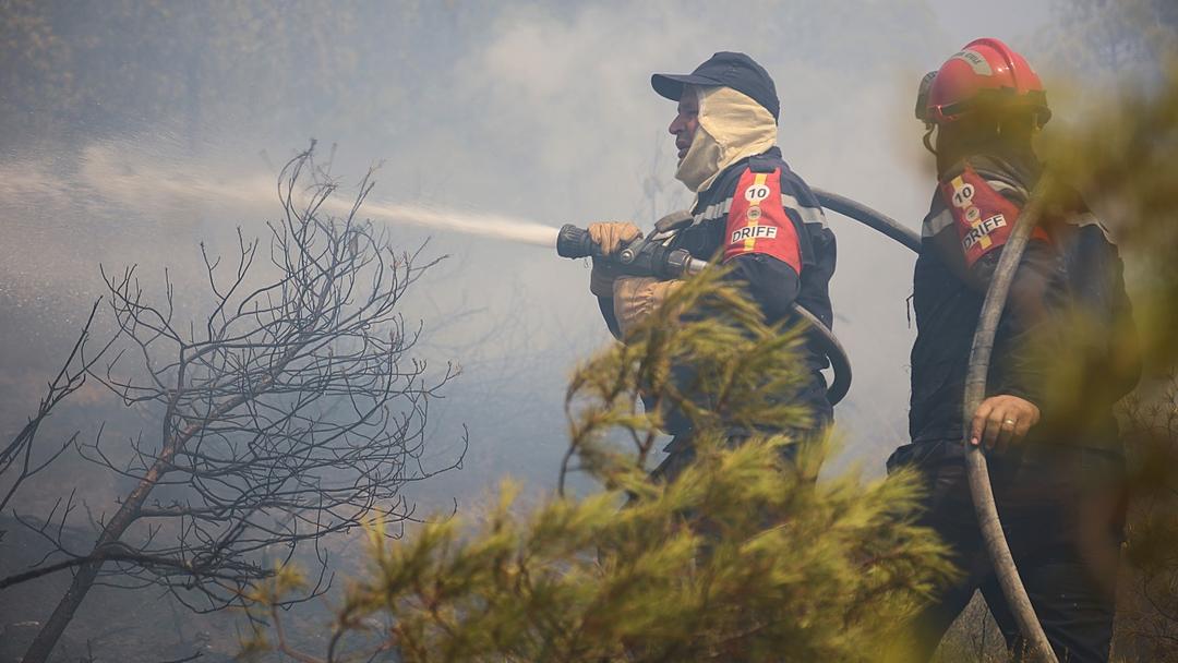 Algeria Wildfires Kill 12, Injure 54 Amid Heatwave
